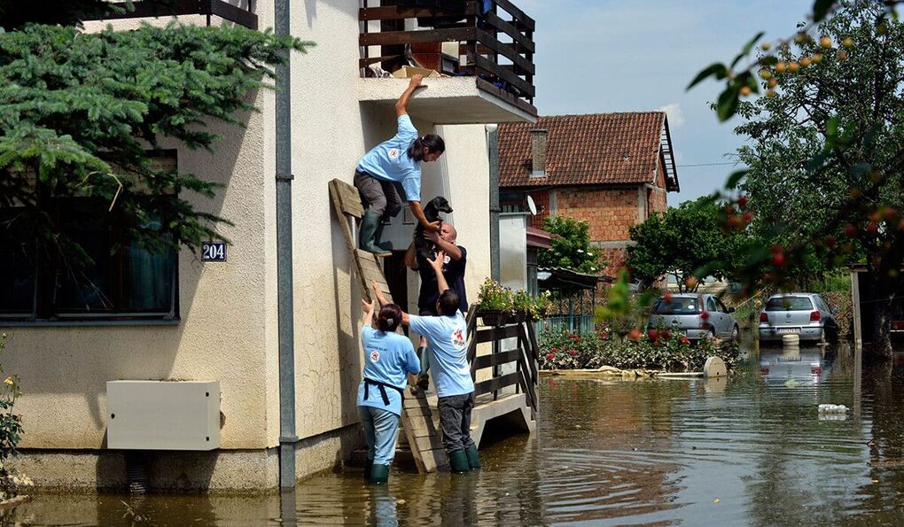 Vier Pfoten Tierrettung Dackel