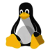 Linux Symbol