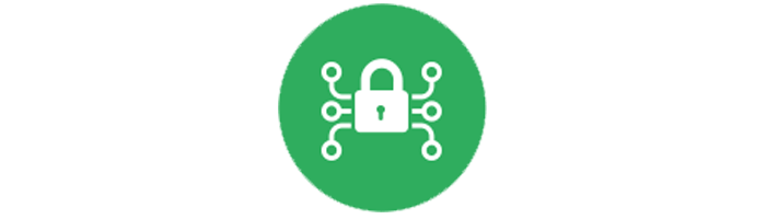 Icon Safe Network Log360