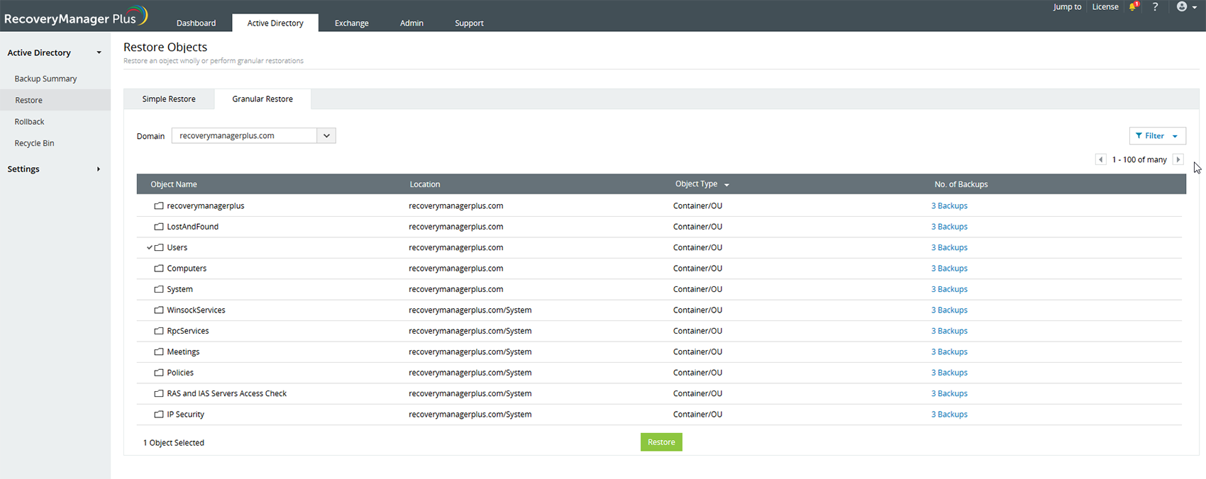 Screenshot RecoveryManager Plus: Objekte auswählen, die wiederhergestellt werden sollen