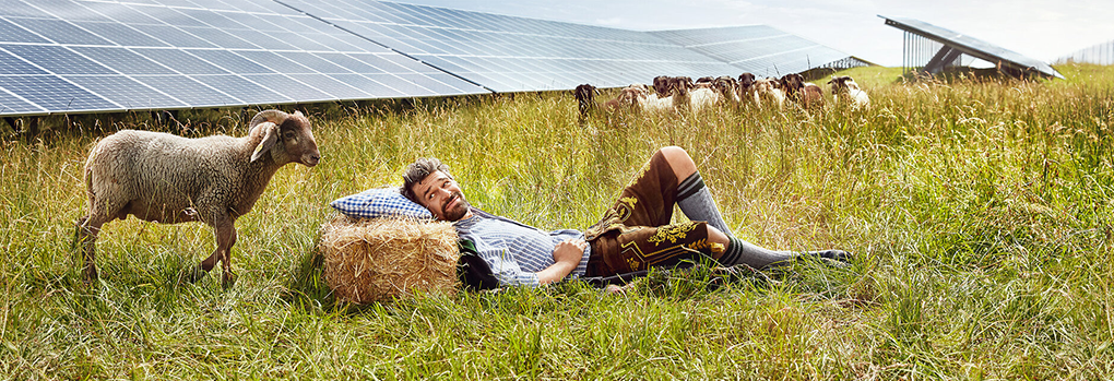Energie Südbayern Headerbild Wiese mit Mensch und Schaf Energie Südbayern Headerbild Wiese mit Mensch und Schaf